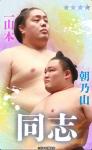 大相撲コレクション 　同士パック ☆４ 一山本 ＆ 朝乃山