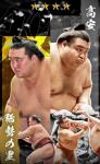 大相撲コレクション 　双璧パック ☆４ 稀勢の里 ＆ 髙安　髙安