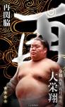 大相撲コレクション 　五月場所番付最高位力士パック　★４ 大栄翔
