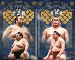 大相撲コレクション 　名古屋場所レアパック ★４ 貴景勝 ＋ 豊昇龍