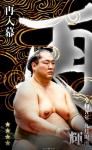 大相撲コレクション 九月場所番付最高位力士パック　★４ 輝