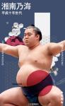 大相撲コレクション 世代別パック 第六弾 ★４ 湘南乃海