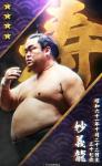 大相撲コレクション 　誕生日パック 10月 ★４ 妙義龍