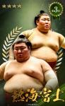 大相撲コレクション　投票ベスト3特集パック ★４ 熱海富士