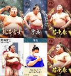 大相撲コレクション　投票ベスト3特集パック ★３ の６枚セット　若元春 + 宇良 + 熱海富士