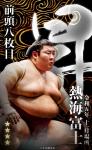 大相撲コレクション 　十一月場所番付最高位力士パック　★４ 熱海富士