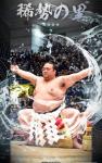 大相撲コレクション　雨の日パック ★４ 稀勢の里