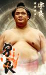 大相撲コレクション　新年度開幕パック ★４ 宇良