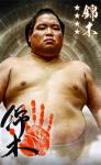 大相撲コレクション　新年度開幕パック ★４ 錦木