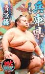 大相撲コレクション　郷土力士パック ～中部・近畿・北陸～ パック ★４ 貴景勝