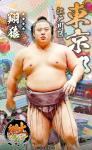 大相撲コレクション　郷土力士別パック ～関東～  ★４ 翔猿