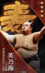 大相撲コレクション 　誕生日力士パック 6月 ★４ 英乃海