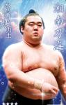 大相撲コレクション　水も滴る良い力士 パック ★４ 湘南乃海