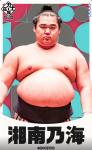 大相撲コレクション　力士応援 パック 第一弾  ★４ 湘南乃海