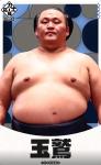 大相撲コレクション　力士応援 パック 第一弾  ★４ 玉鷲