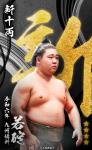 大相撲コレクション 　令和六年九州場所 昇進力士 / 番付最高位力士パック ★４ 若碇