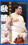 大相撲コレクション 　行司アナウンス 九州場所 パック ★４ 欧勝馬