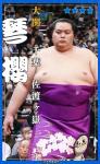 大相撲コレクション 　行司アナウンス 九州場所 パック ★４ 琴櫻